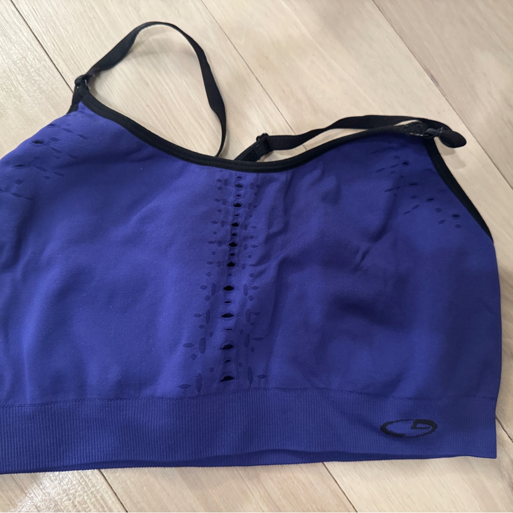 Champion Purple & Black Seamless Sports Bra